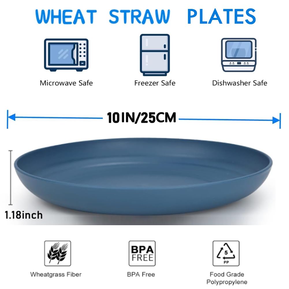 K Y KANGYUN lightweight plates—easy to grip for all ages.