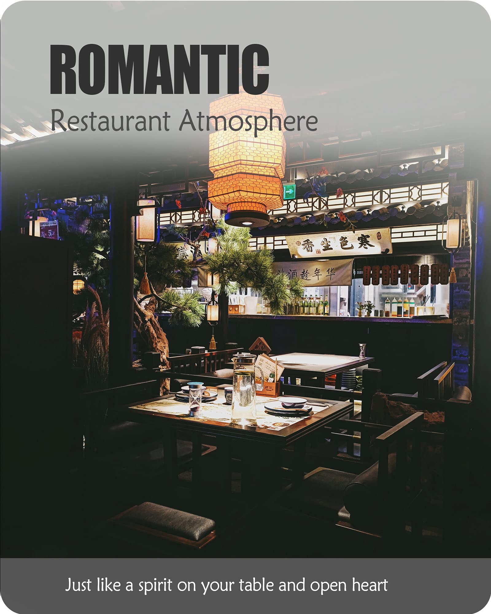 Lareina porcelain is durable and lead-free for safe daily use