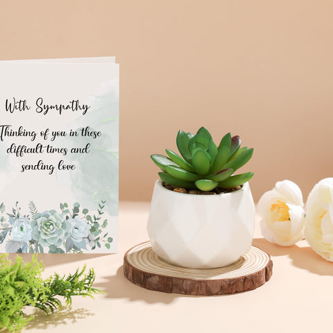 Launrada artificial succulent plant adds a gentle touch of life.