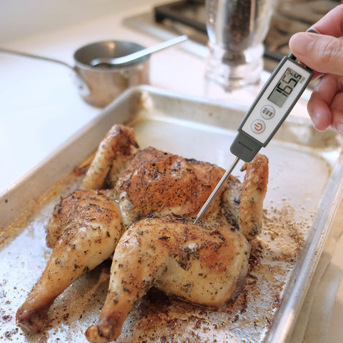 Lavatools PT09 candy thermometer in action for sugar stages.