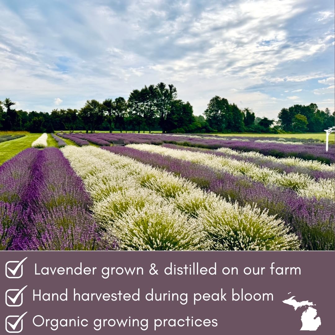 Lavender Lane floral garnish for drinks enhances visual appeal.