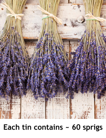 Lavender Lane lavender simple syrup pairing complements homemade drinks.