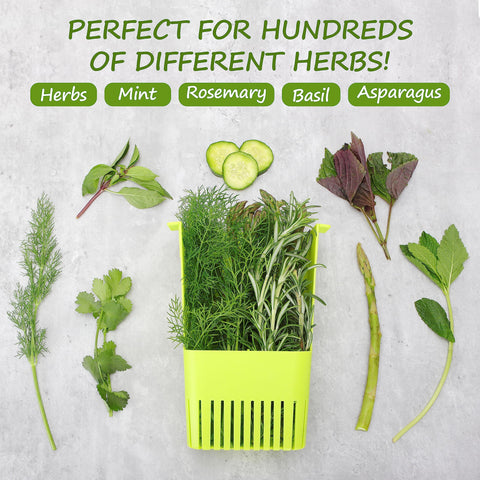 LAWNFUL BPA-free material used for herb storage.