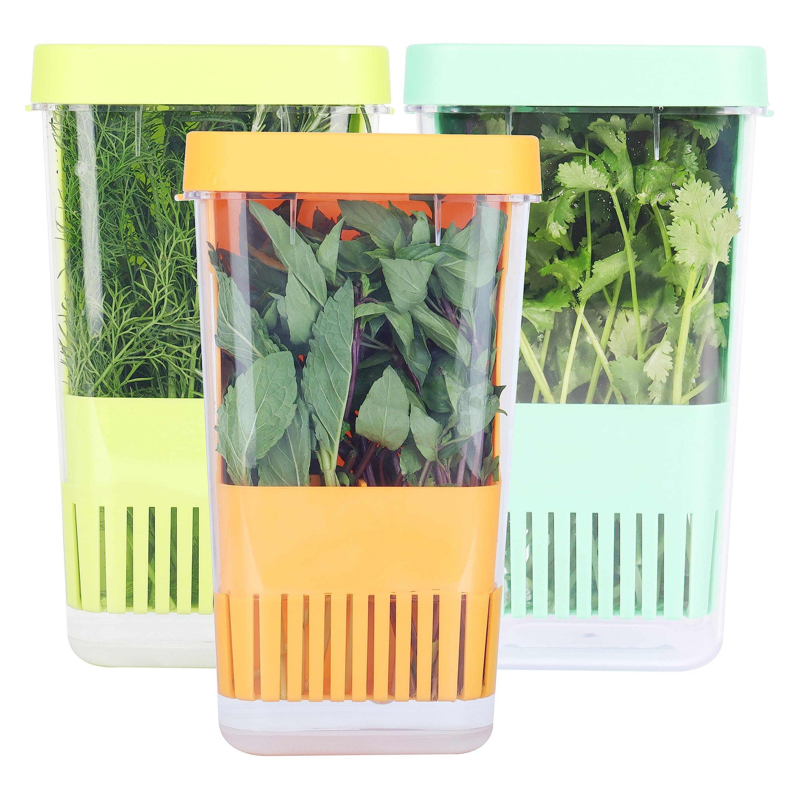 LAWNFUL herb keeper with clear body showing fresh herbs.