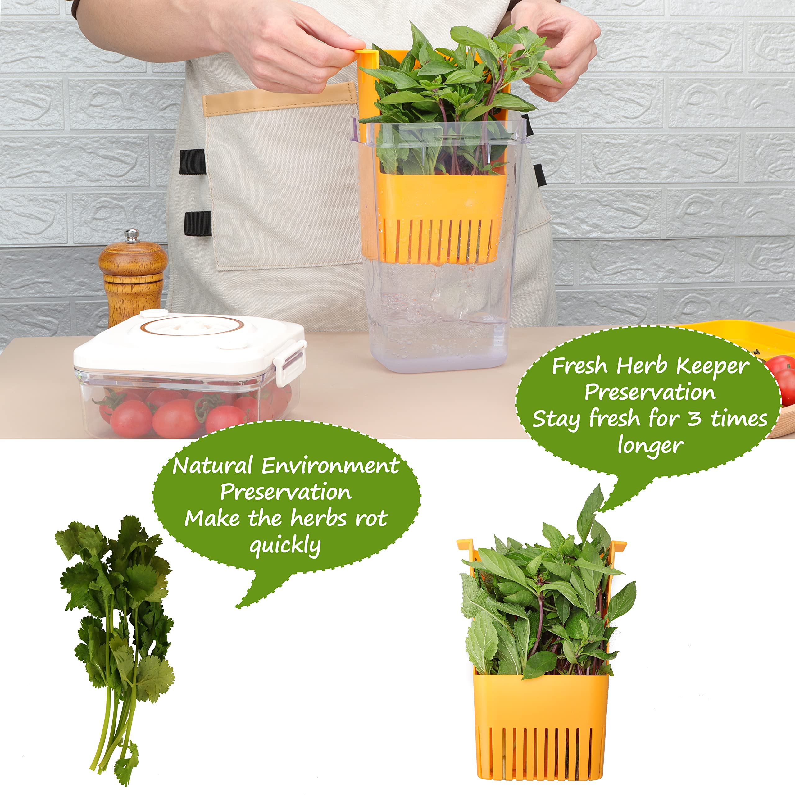 LAWNFUL herb saver keeps cilantro, parsley, and thyme fresh.