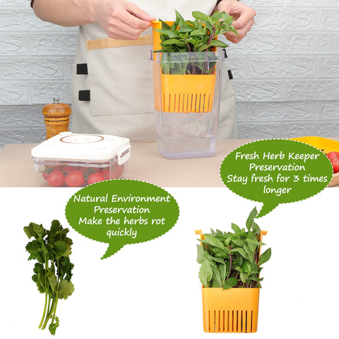 LAWNFUL herb saver keeps cilantro, parsley, and thyme fresh.