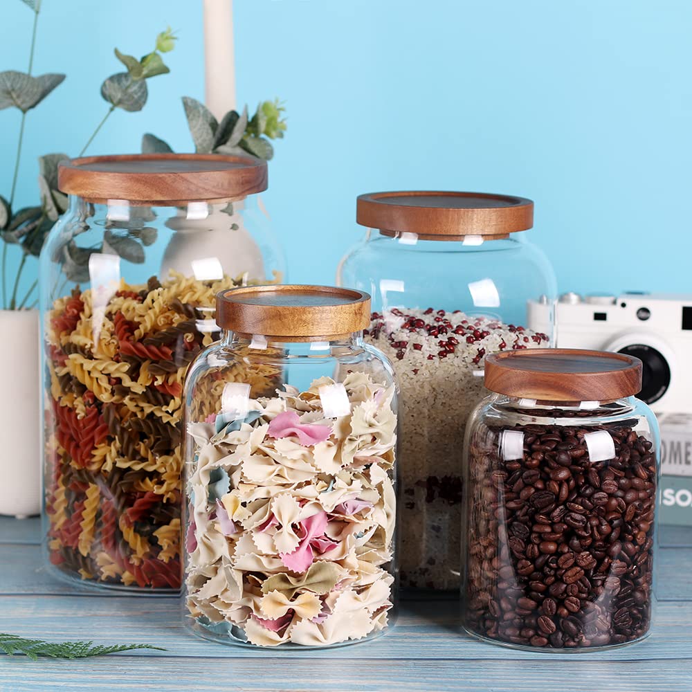 Leaves and Trees Y borosilicate glass for durability and dishwasher-safe convenience