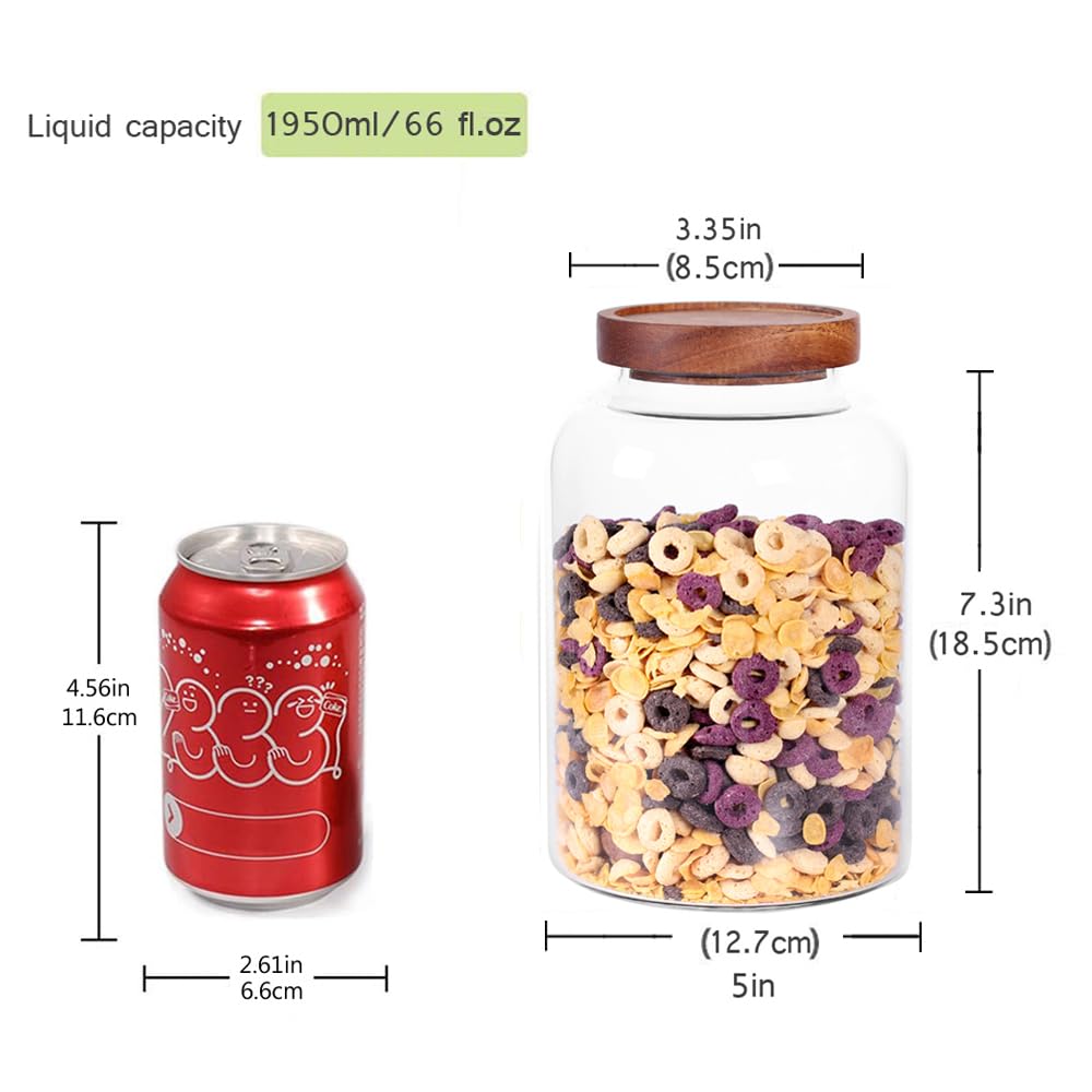 Leaves and Trees Y coffee beans storage jar keeps beans fresh and organized.