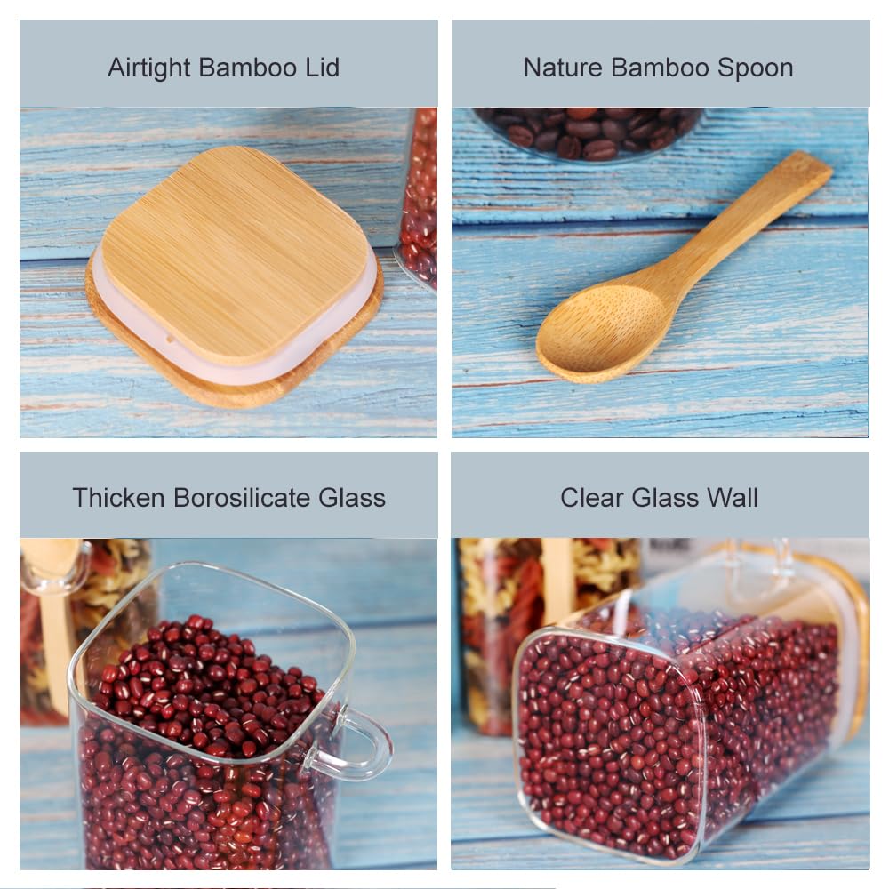 LEAVES AND TREES Y square 17oz container ideal for tea storage.