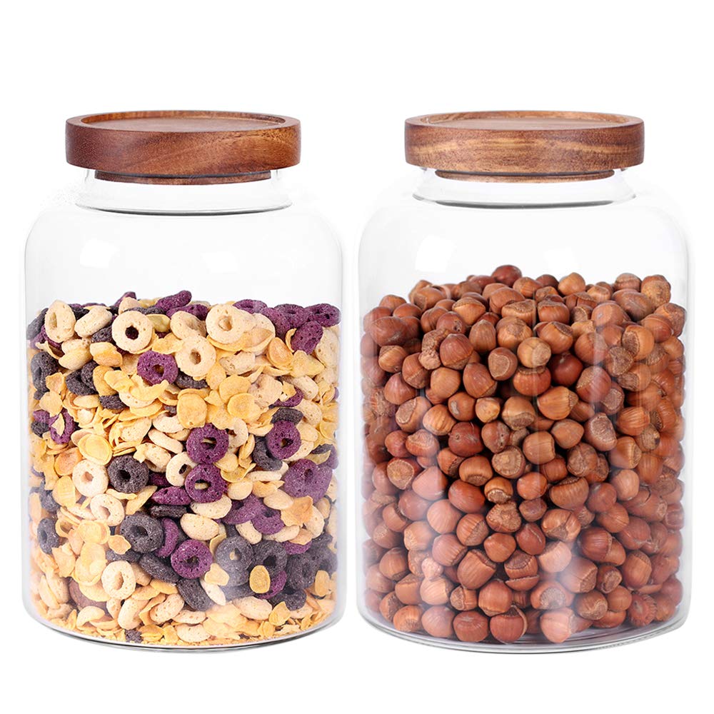 Leaves and Trees Y tea lid storage jar with airtight seal for fresh tea.