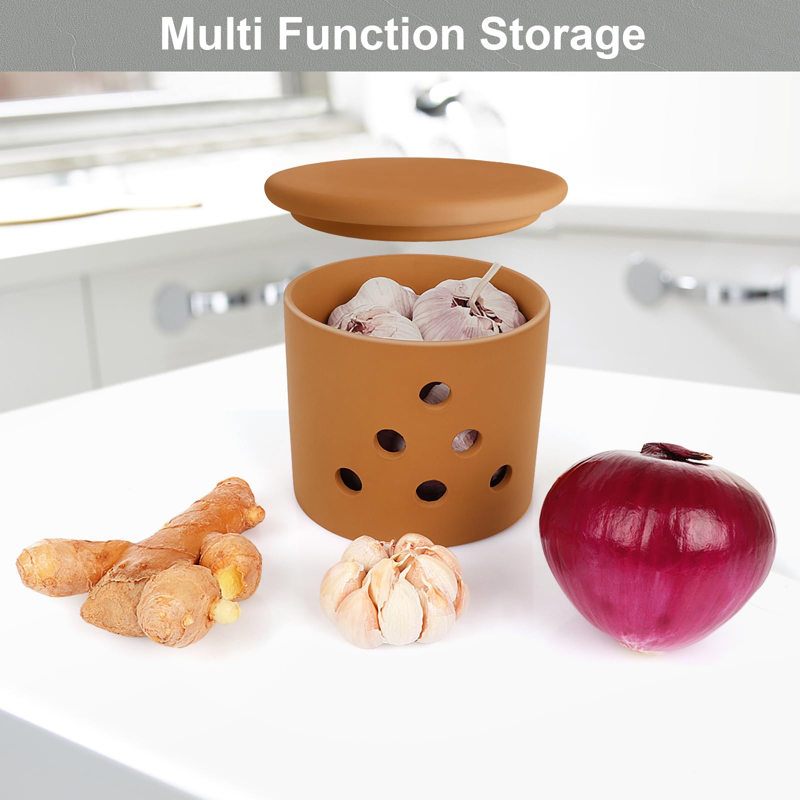 LEEPENK terracotta garlic keeper accommodates 3 to 5 heads of garlic