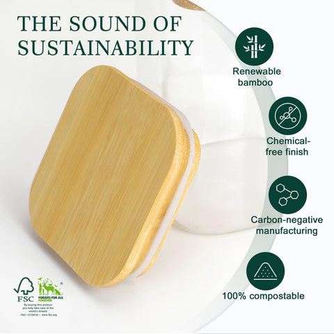 LIBWYS jars store coffee and tea aromas in transparent containers.