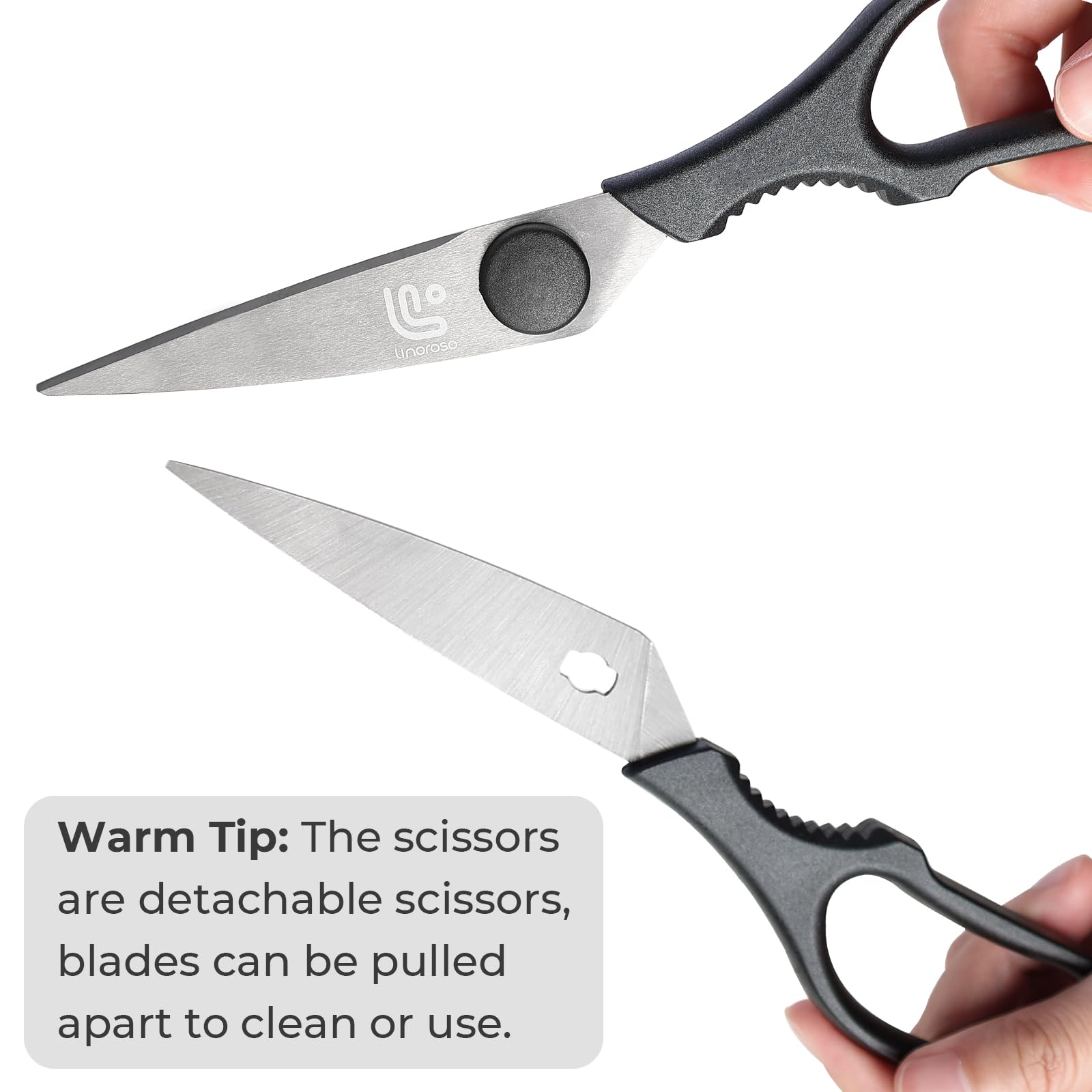 Linoroso kitchen shears come apart blades for thorough cleaning.
