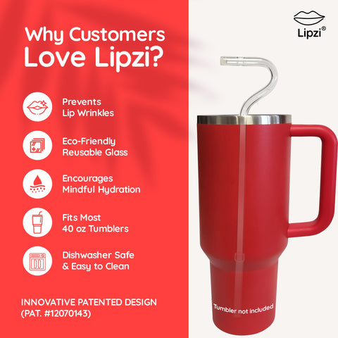Lipzi elegant gift box straw set for stylish eco-conscious beverages