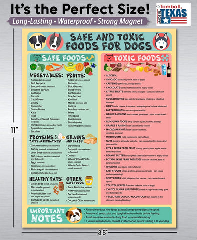Lone Star Art dog nutrition guide poster highlights canine dietary guidance.