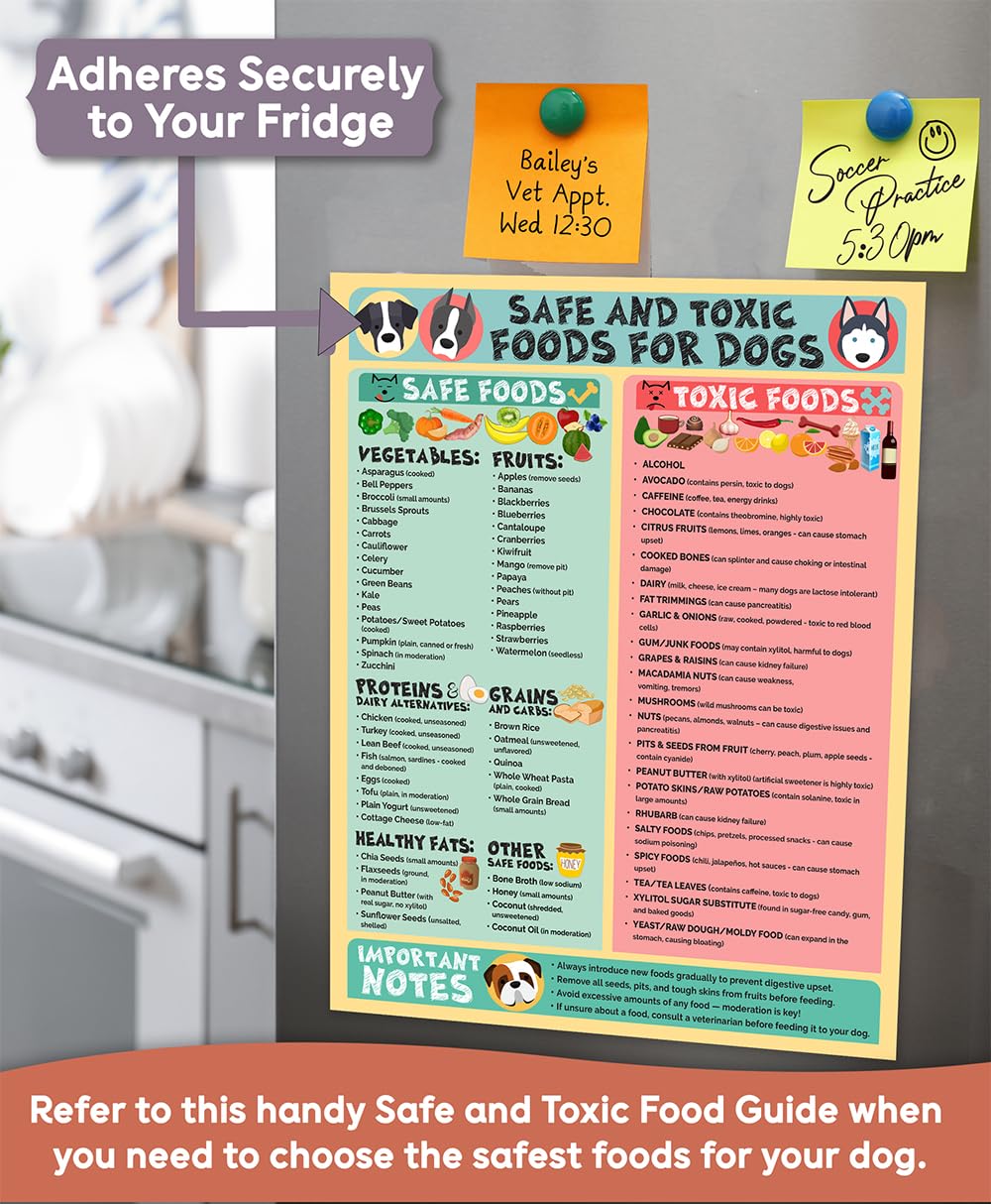 Lone Star Art in clinics and shelters display for dog safety reference.