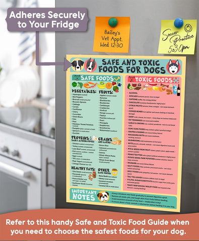 Lone Star Art in clinics and shelters display for dog safety reference.