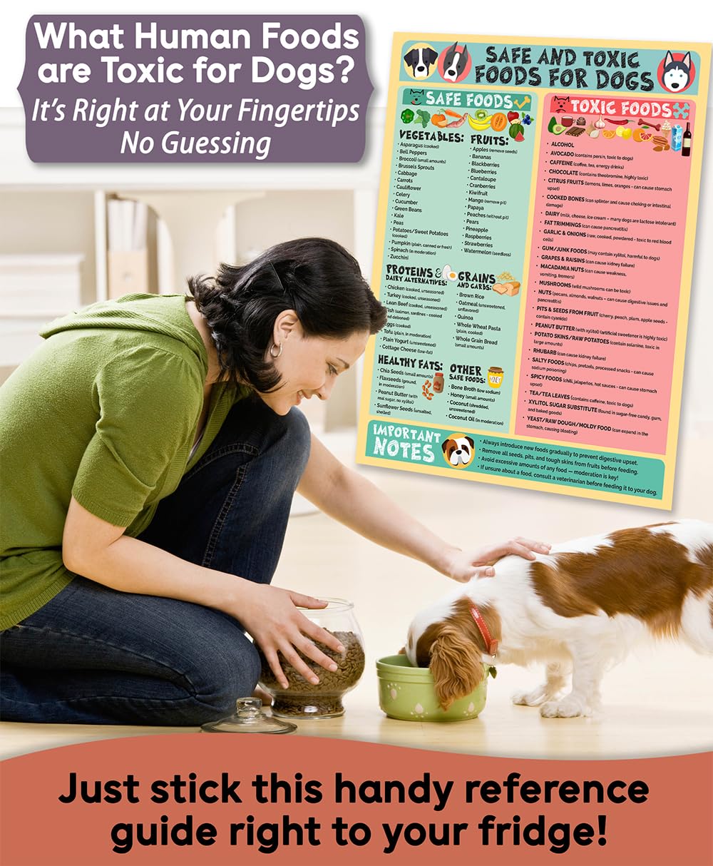 Lone Star Art dog safety chart fits compact spaces in clinics and shelters.