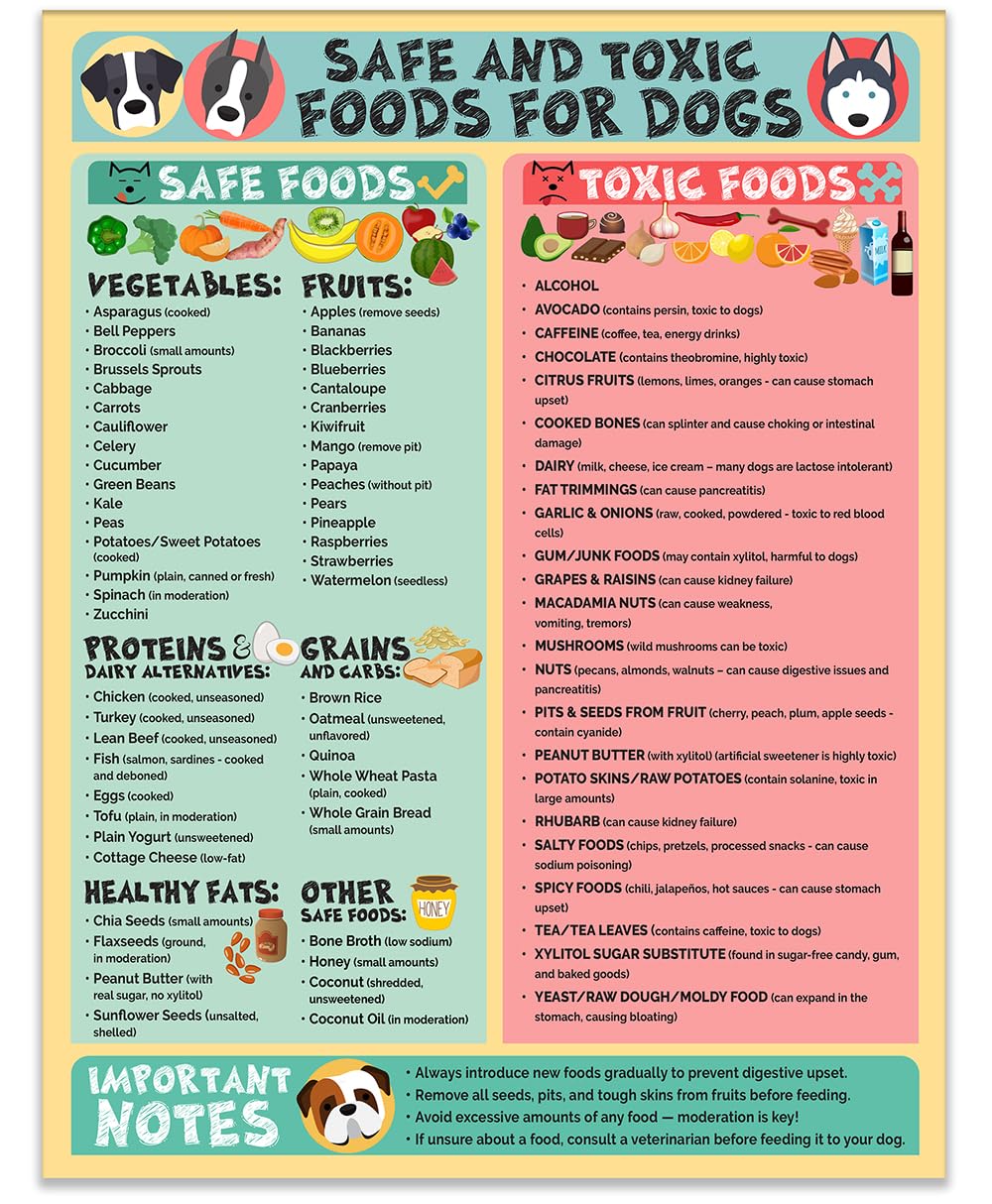 Lone Star Art magnetic poster on fridge clearly marks dog-safe foods for quick reference.