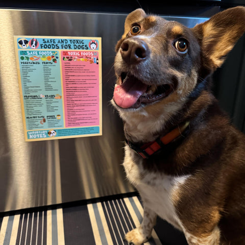 Lone Star Art canine nutrition guide poster supports informed snack choices.