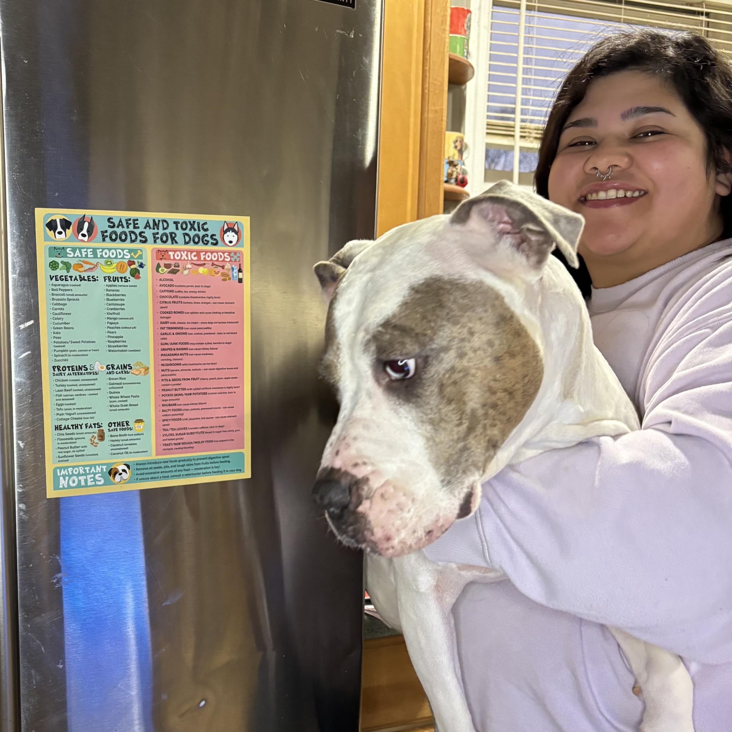 Lone Star Art vet clinic display aids quick food decisions for pets.