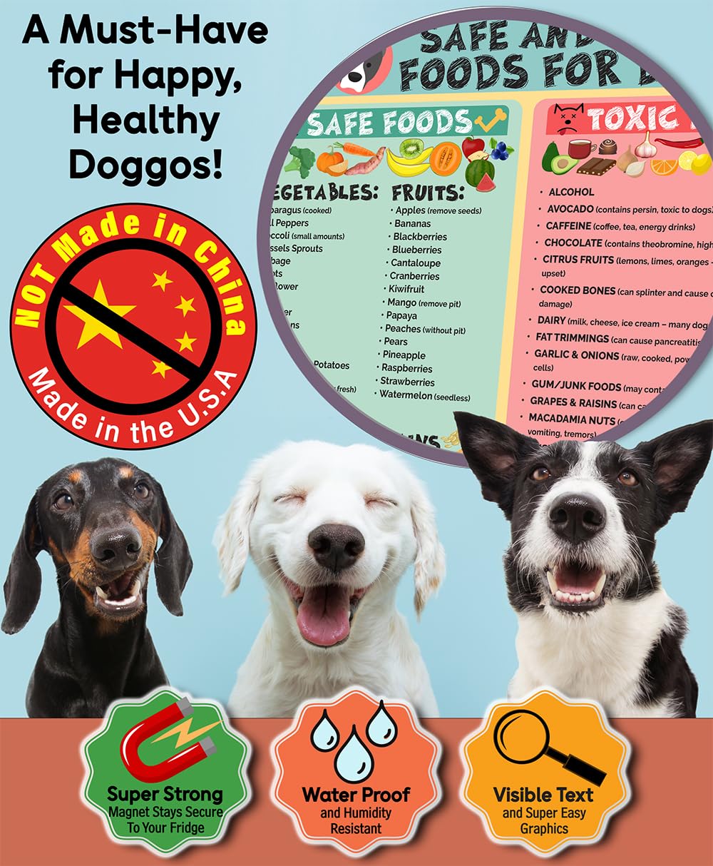Lone Star Art waterproof poster endures kitchen humidity while teaching healthy options.