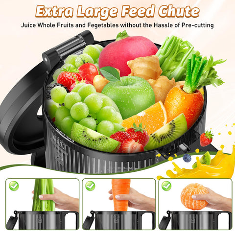 LQZ juicer 5.8-inch feed chute enabling minimal prep.