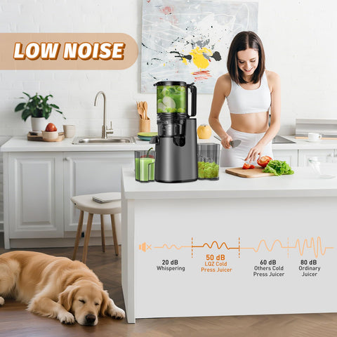LQZ double-layer filtration reduces pulp for smoother juice.