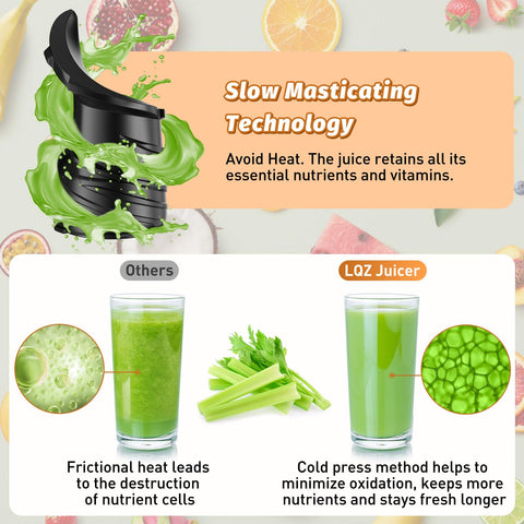 LQZ Spiral auger with six teeth delivering steady cold-pressed extraction.
