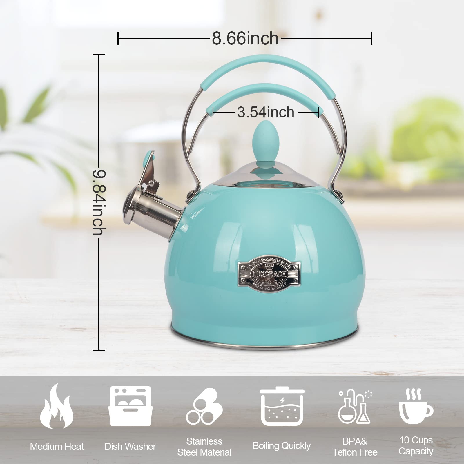 LuxGrace 2.6-quart capacity tea kettle ideal for family use.