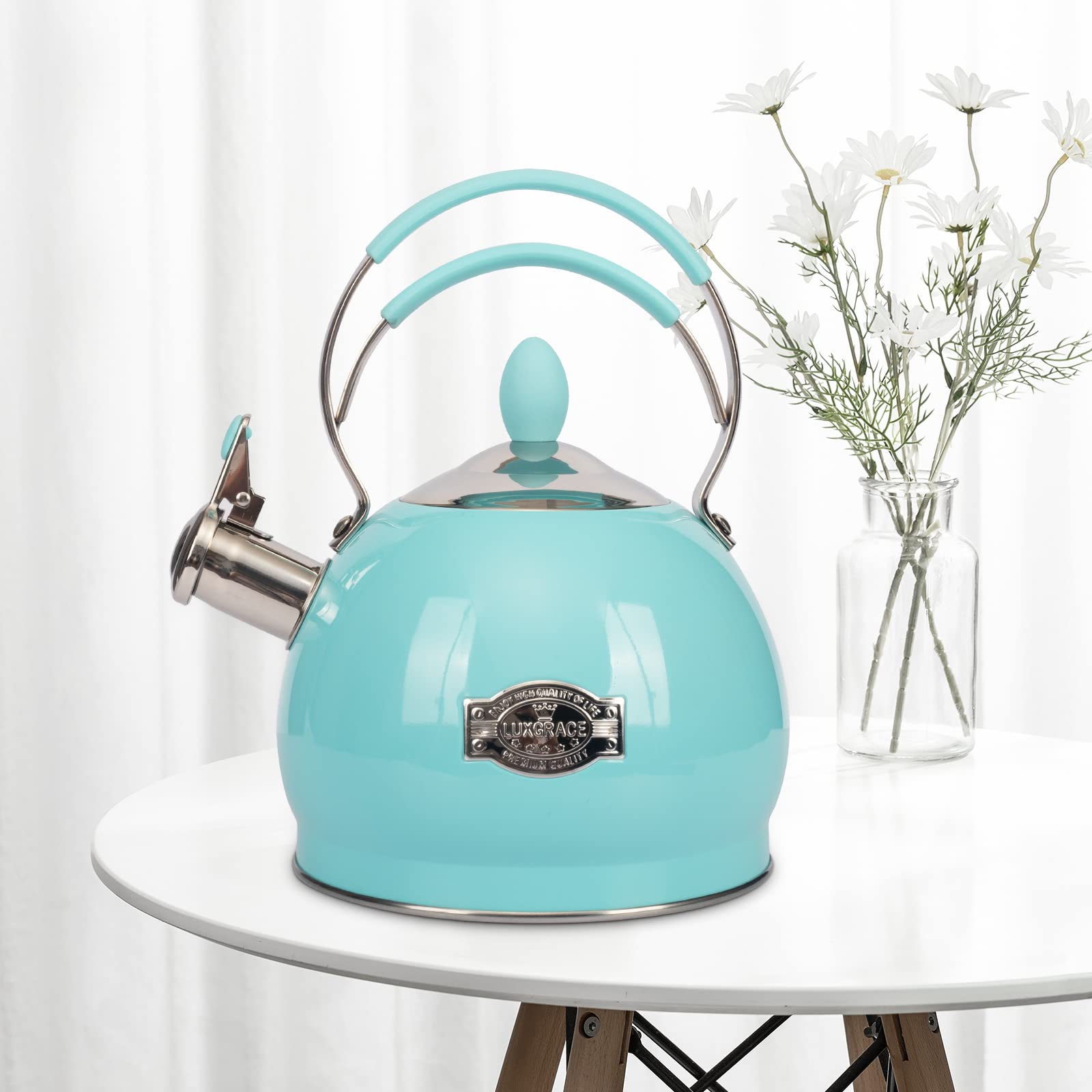 LuxGrace induction-compatible tea kettle demonstrates versatile cooking on induction stoves.