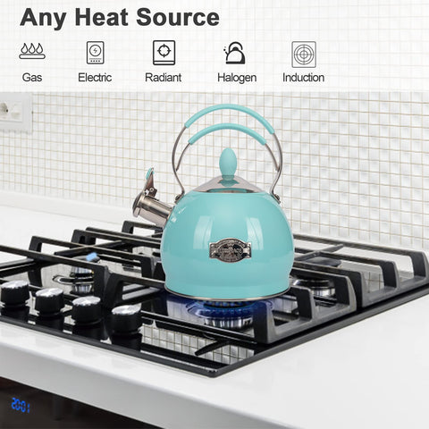 LuxGrace stovetop boiling water shows fast heat for busy mornings.