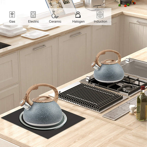 LuxGrace kettle compatible with induction, gas, and electric stoves