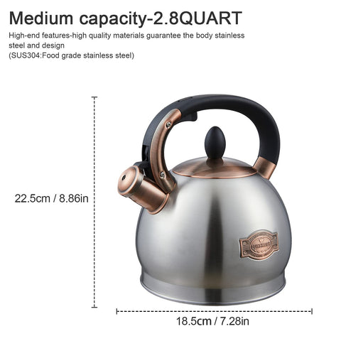 LUXGRACE kettle on induction cooktop demonstrates broad compatibility.