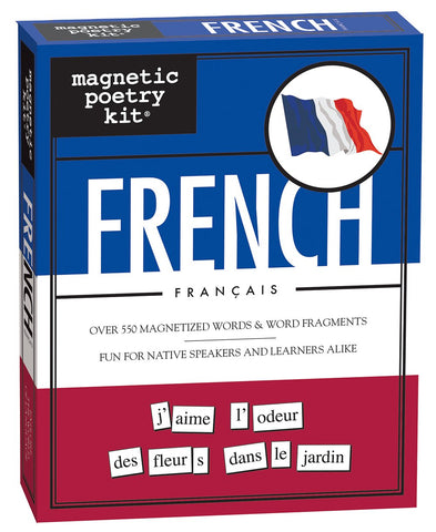Magnetic Poetry French Kit tiles close-up on fridge, ready to spark spontaneous poetry.