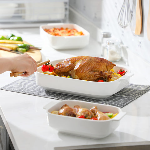 MALACASA oven-safe and microwave-safe set ready for reheating and baking