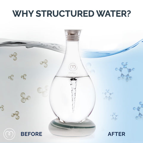 RO filtration option prepares filtered or distilled water to swirl.