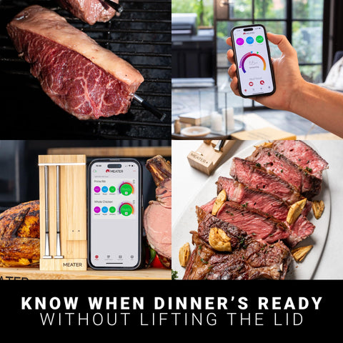MEATER Pro Duo used during dinner prep with two probes