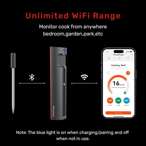 Meatmeet Pro WiFi thermometer probe close-up, durable stainless steel