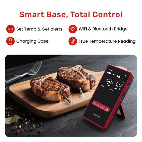 Meatmeet X Pro probe 1 close-up showing precise sensing tip.