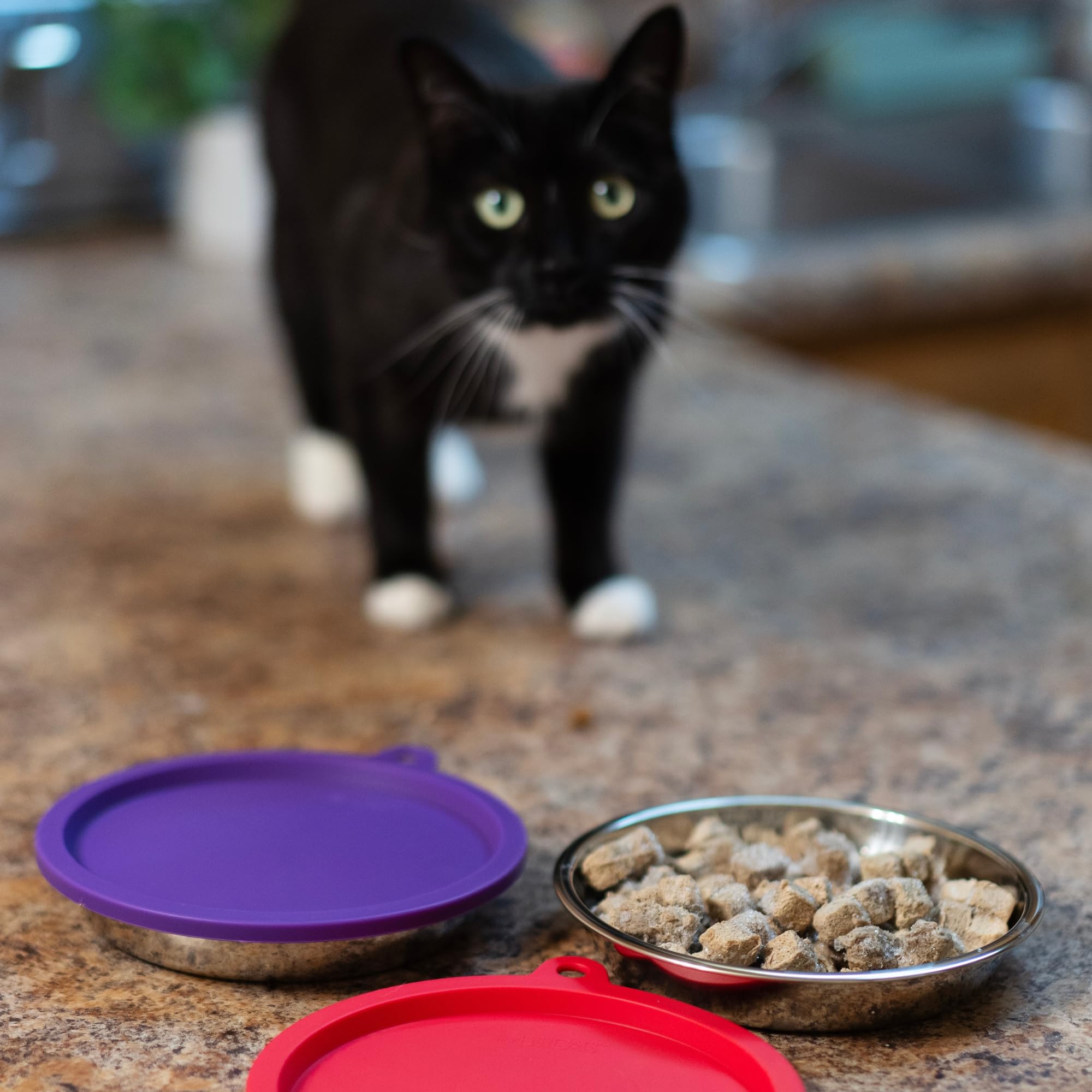 Messy Cats set pairs with MC010 or MC020 feeders for added stability.
