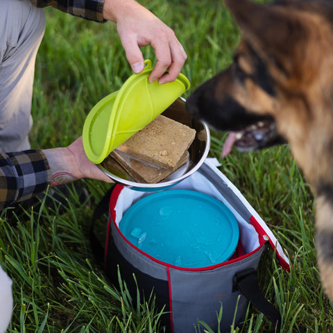 Messy Mutts portable pet meal set ideal for travel and errands.