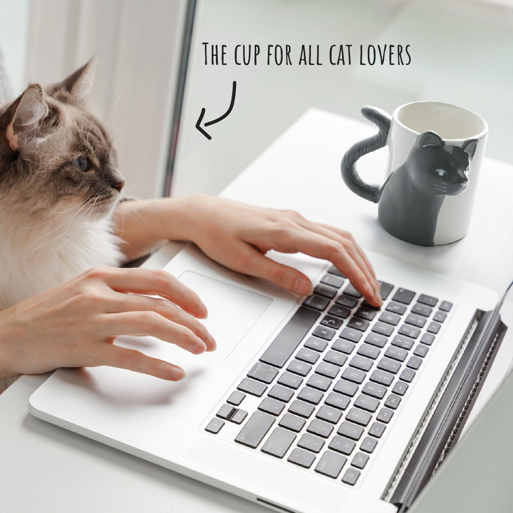 MIAMIO 12oz cat mug perfect for tea or coffee in everyday use.