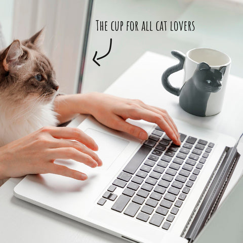 MIAMIO 12oz cat mug perfect for tea or coffee in everyday use.