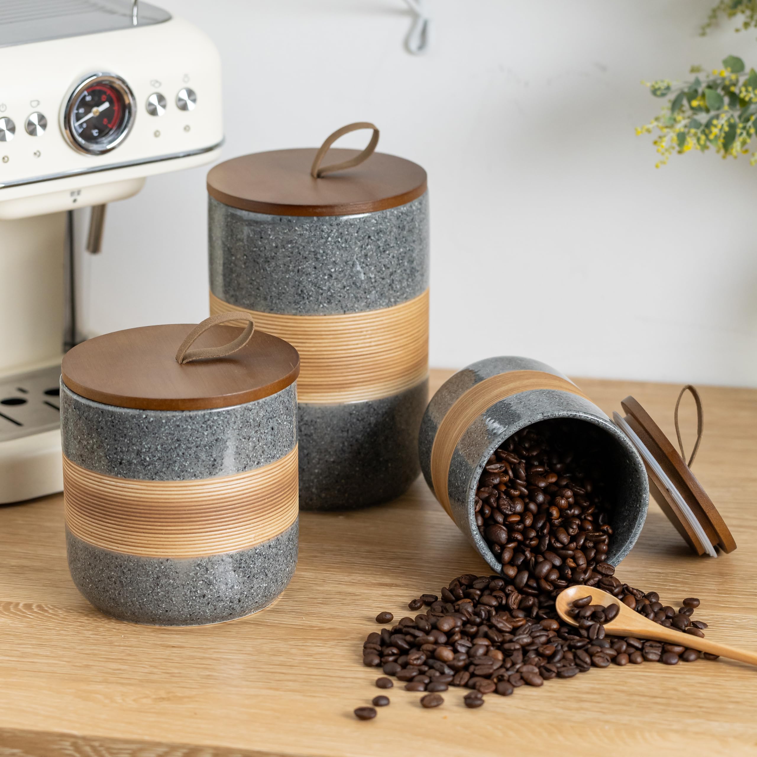 Miamolo spice sugar cookie container protects dry ingredients for baking
