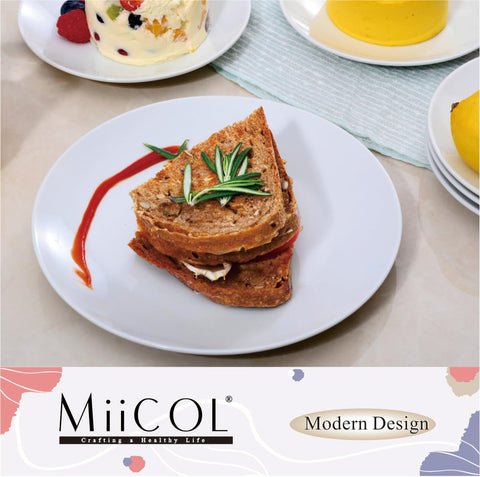 Miicol carefully packaged 6-piece plate set ensures safe arrival.