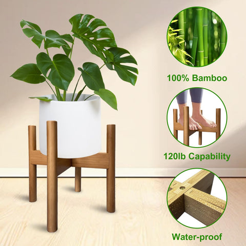 MinBoo countertop stand in walnut tone for beverages.