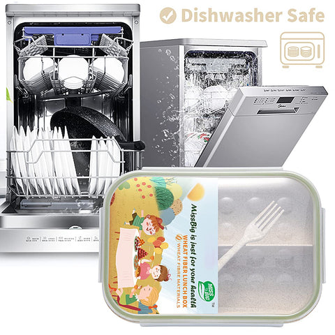 MISS BIG Bento Box large 1900ml capacity fits adult portions