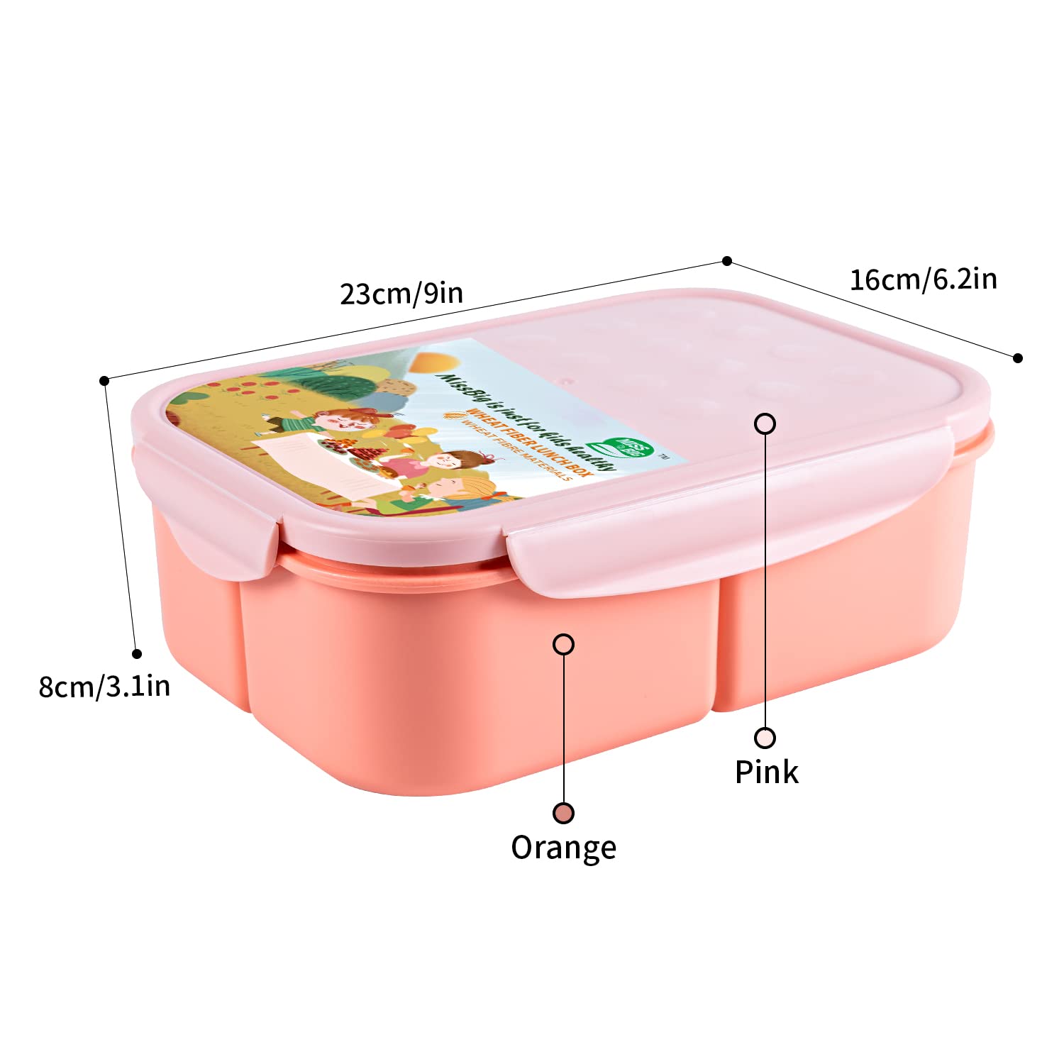 MISS BIG Bento Box's portable design fits bags and on-the-go lunches