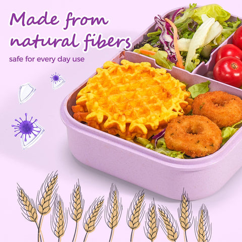 MISS BIG lunch box dishwasher-safe for easy cleanup